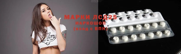 СК Касимов