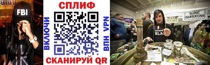 Шишки марихуана сатива  Купить закладки  Западная Двина 